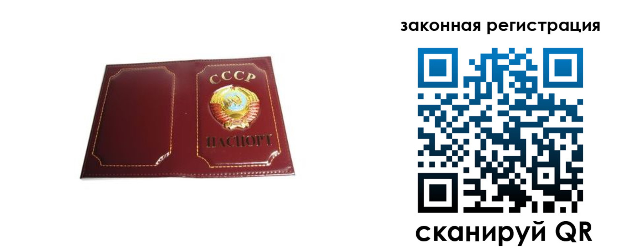 прописка поиск в Черногорске